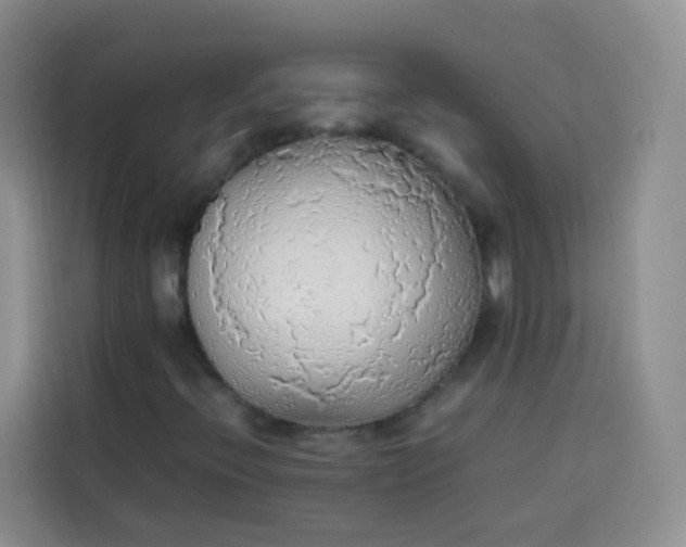 X0000113781396200910141029