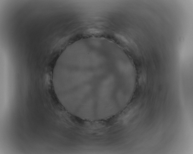 X0000113781397200910141029