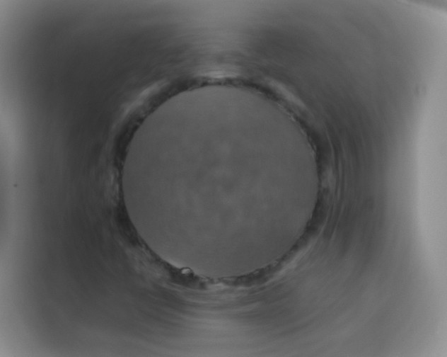 X0000113781398200910141029