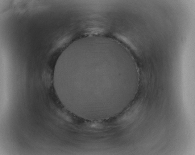 X0000113781399200910141029