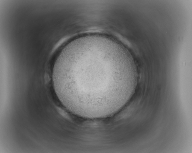 X0000113781400200910141029