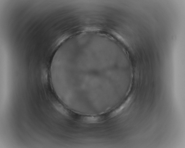 X0000113781401200910141029