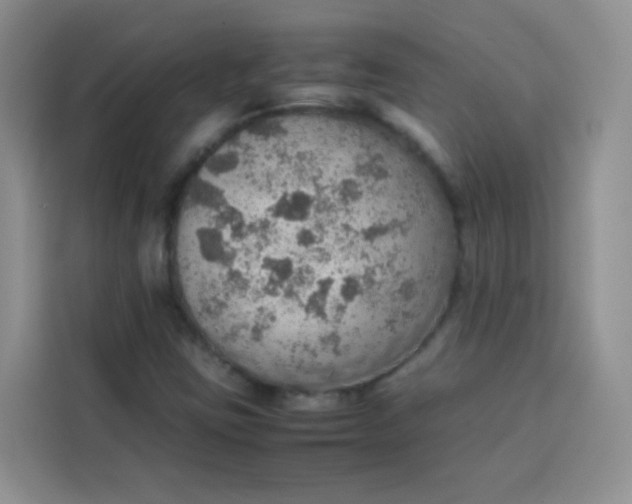 X0000113781403200910141029