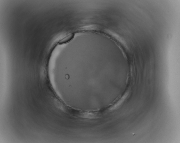 X0000113781405200910141029