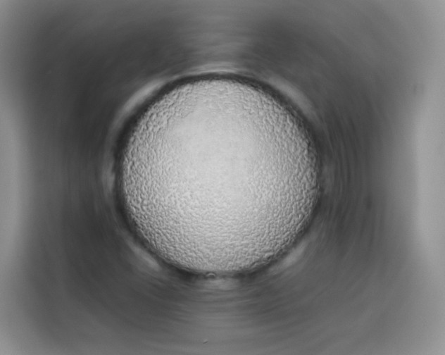 X0000113781406200910141029