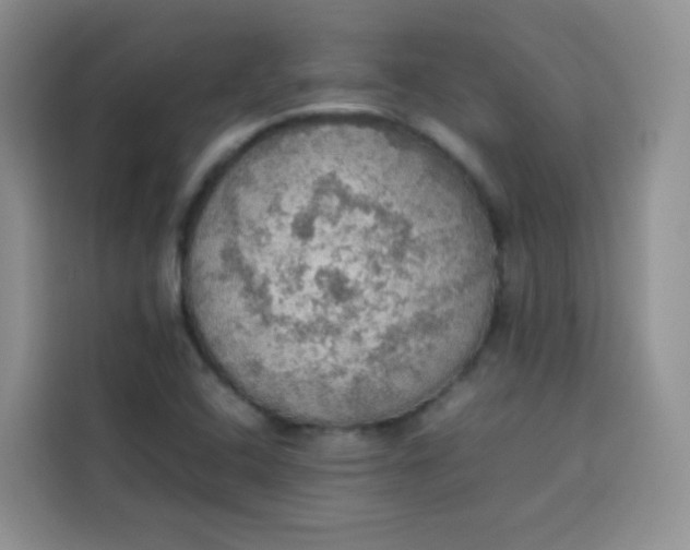 X0000113781408200910141029