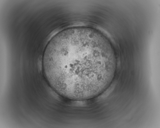 X0000113781409200910141029