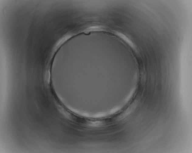 X0000113781413200910141029