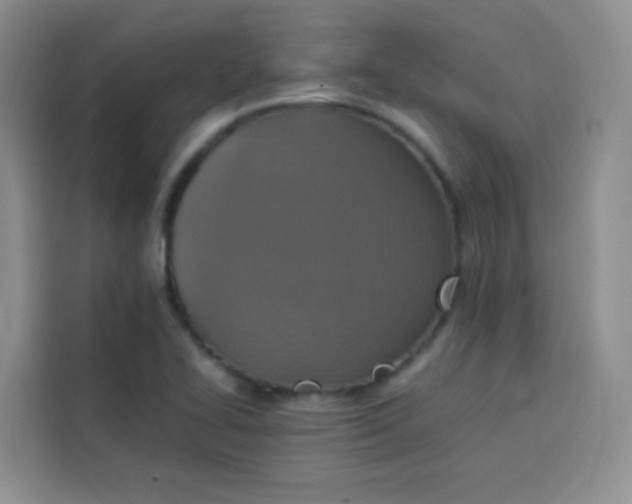 X0000113781414200910141029