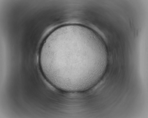 X0000113781416200910141029