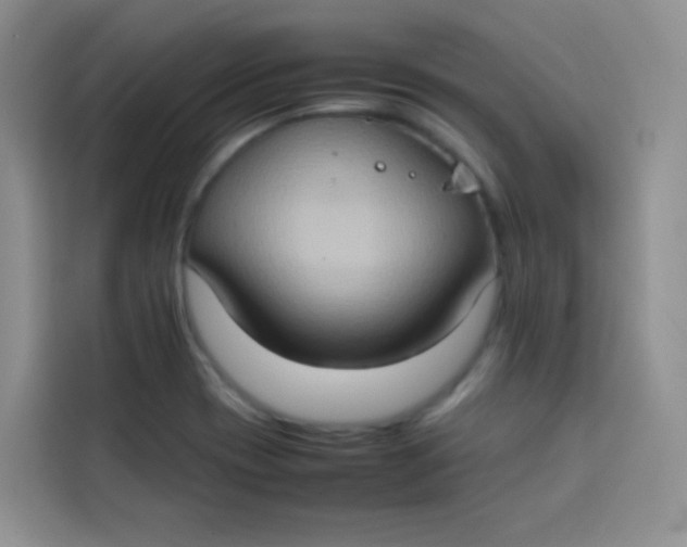 X0000113781417200910141029