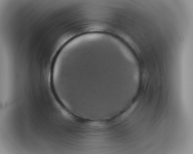 X0000113781418200910141029