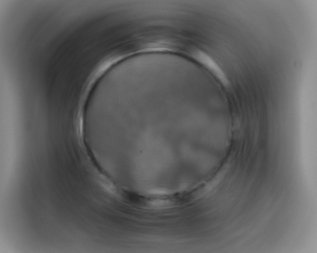 X0000113781419200910141029