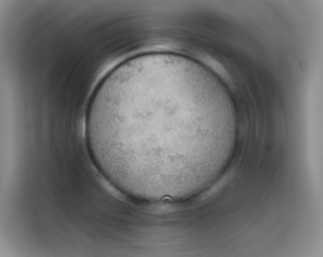 X0000113781420200910141029