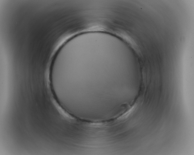 X0000113781422200910141029