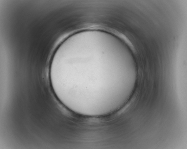 X0000113781424200910141029