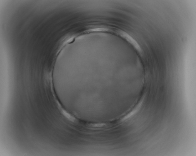 X0000113781425200910141029