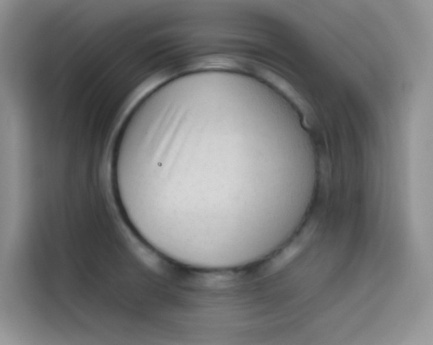 X0000113781426200910141029