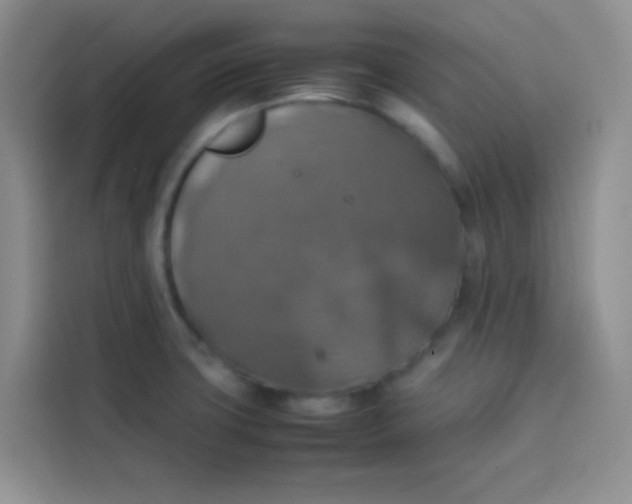 X0000113781427200910141029