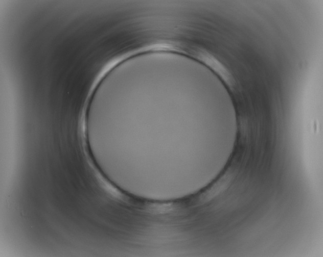 X0000113781428200910141029