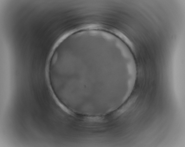 X0000113781429200910141029