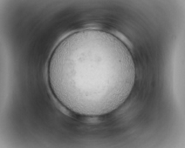 X0000113781431200910141029