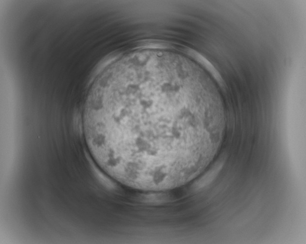 X0000113781433200910141029