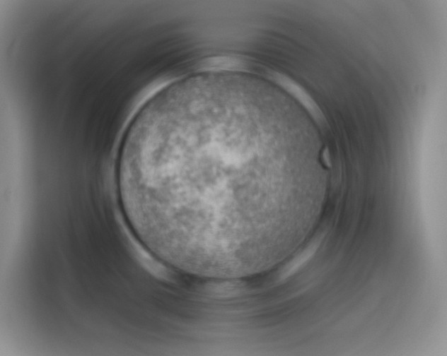 X0000113781434200910141029