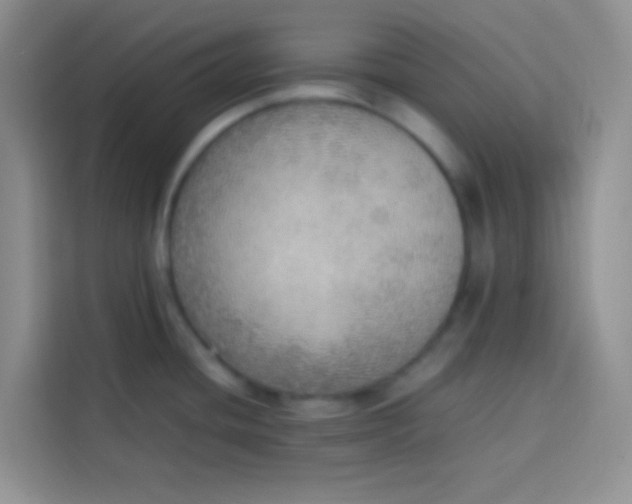 X0000113781436200910141029