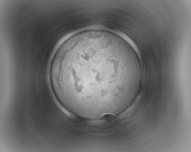 X0000113781437200910141029