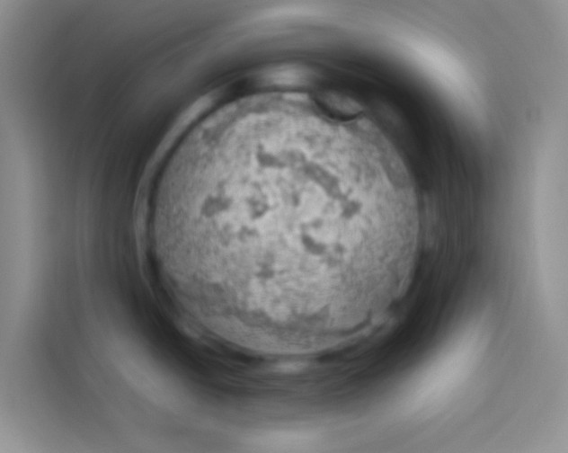 X0000113781438200910141029