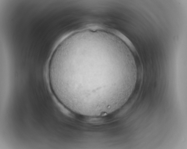 X0000113781439200910141029