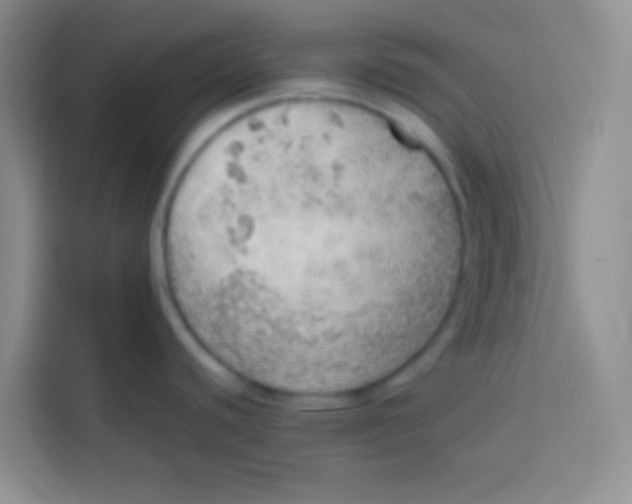 X0000113781440200910141029