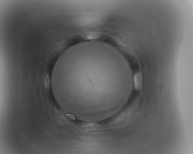 X0000113781443200910141029