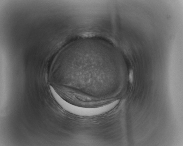 X0000113781444200910141029