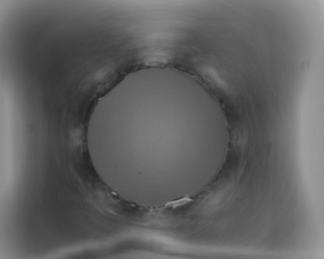 X0000113781445200910141029