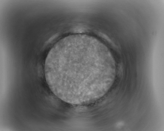 X0000113781446200910141029