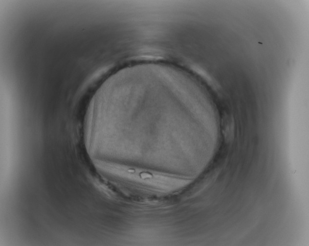 X0000113781448200910141029