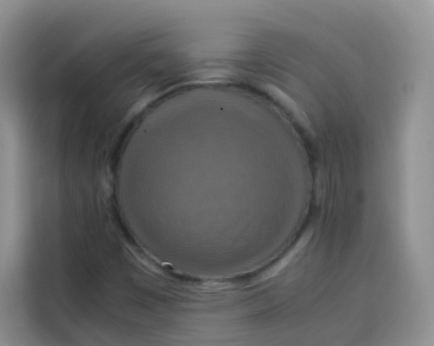 X0000113781449200910141029