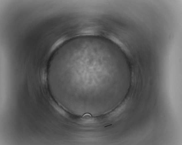 X0000113781450200910141029