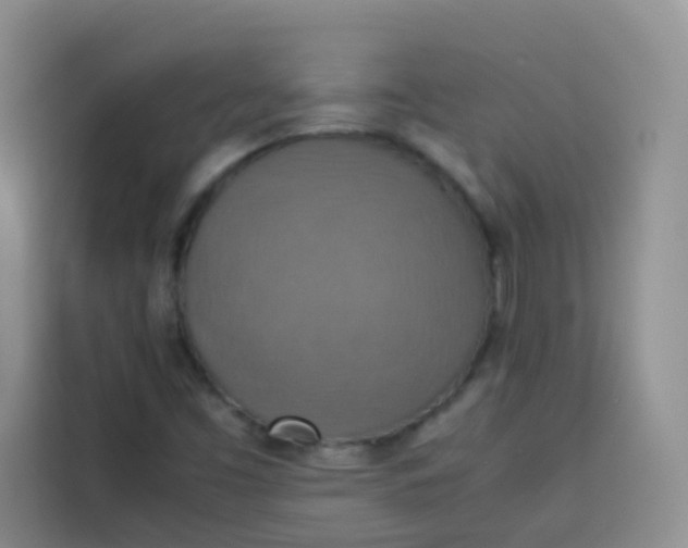 X0000113781453200910141029