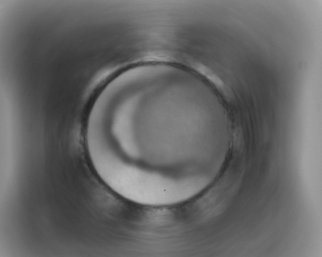 X0000113781454200910141029