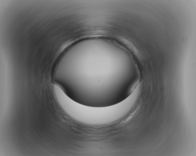 X0000113781457200910141029