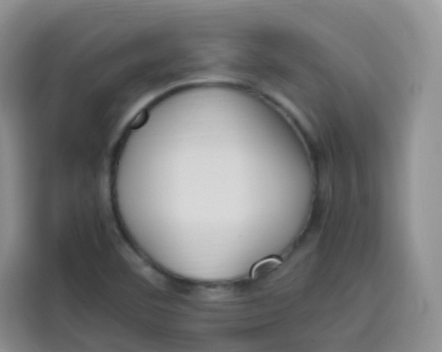 X0000113781460200910141029