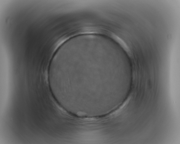 X0000113781465200910141029