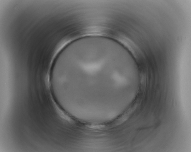 X0000113781466200910141029