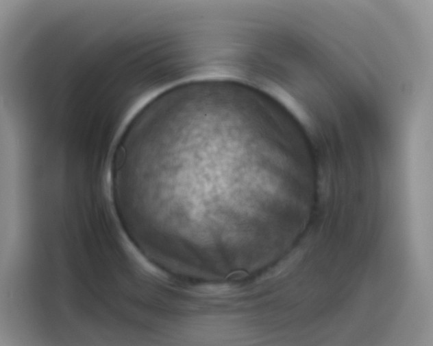 X0000113781468200910141028