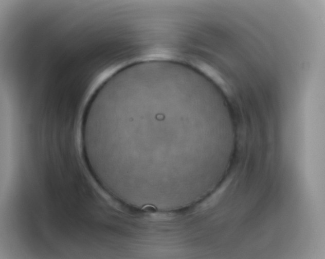 X0000113781469200910141028