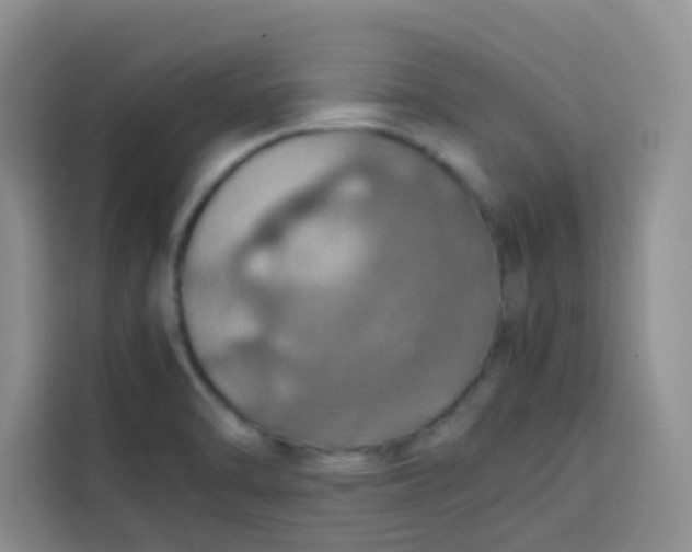 X0000113781470200910141028