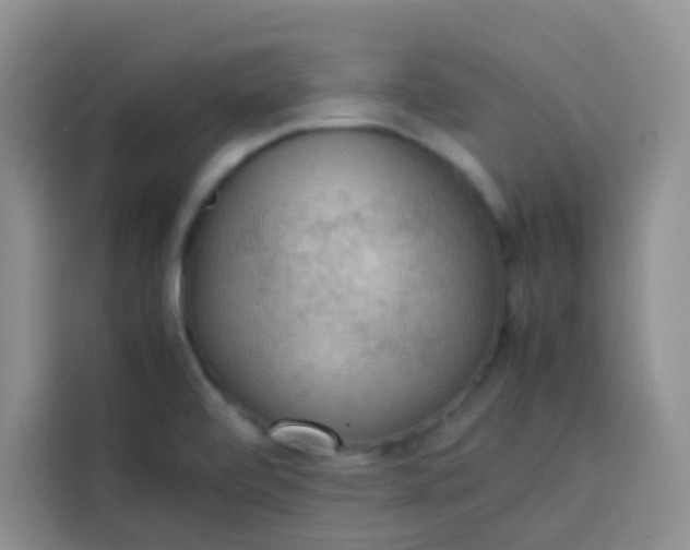 X0000113781472200910141028